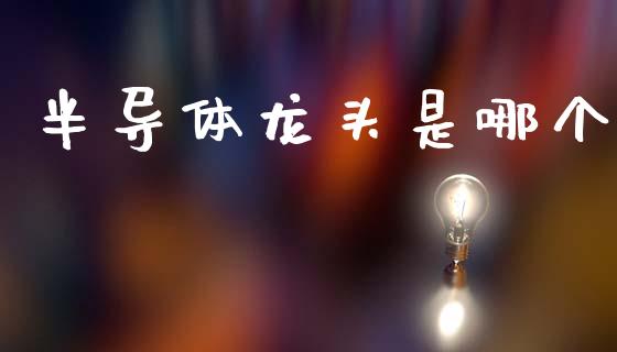 半导体龙头是哪个_https://www.ltsssb.com_期货密码_第1张