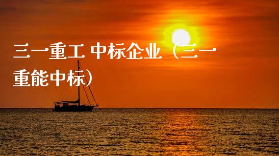三一重工 中标企业（三一重能中标）_https://www.ltsssb.com_股票理论_第1张