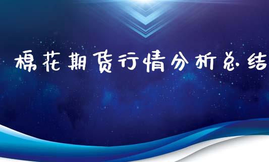 棉花期货行情分析总结_https://www.ltsssb.com_期货密码_第1张