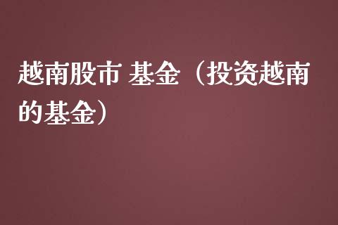 越南股市 基金（投资越南的基金）_https://www.ltsssb.com_基金频道_第1张