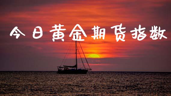 今日黄金期货指数_https://www.ltsssb.com_国际财经_第1张