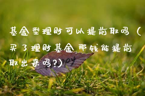 基金型理财可以提前取吗（买了理财基金,那钱能提前取出来吗?）_https://www.ltsssb.com_基金频道_第1张