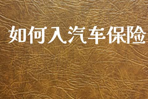 如何入汽车保险_https://www.ltsssb.com_国际财经_第1张