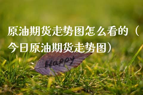 原油期货走势图怎么看的（今日原油期货走势图）_https://www.ltsssb.com_期货行情_第1张