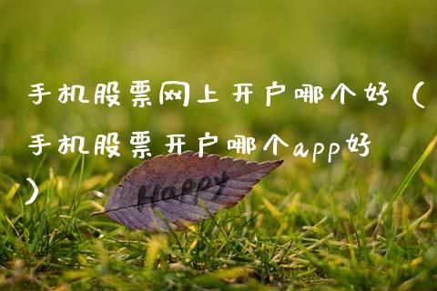 手机股票网上开户哪个好（手机股票开户哪个app好）_https://www.ltsssb.com_股票理论_第1张