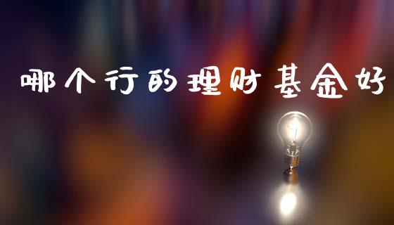 哪个行的理财基金好_https://www.ltsssb.com_基金频道_第1张