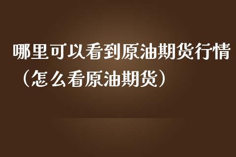 哪里可以看到原油期货行情（怎么看原油期货）_https://www.ltsssb.com_期货行情_第1张