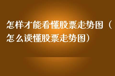 怎样才能看懂股票走势图（怎么读懂股票走势图）_https://www.ltsssb.com_股市分析_第1张