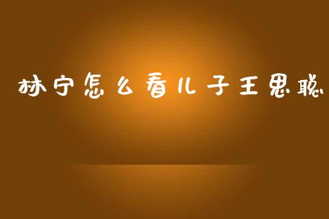 林宁怎么看儿子王思聪_https://www.ltsssb.com_新股数据_第1张