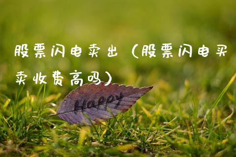 股票闪电卖出（股票闪电买卖收费高吗）_https://www.ltsssb.com_新股数据_第1张