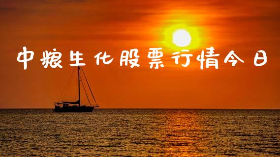 中粮生化股票行情今日_https://www.ltsssb.com_新股数据_第1张