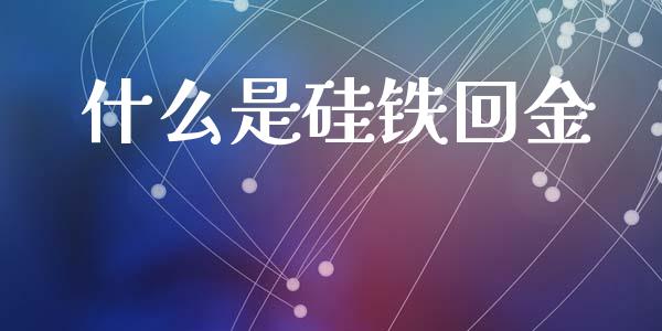 什么是硅铁回金_https://www.ltsssb.com_基金频道_第1张