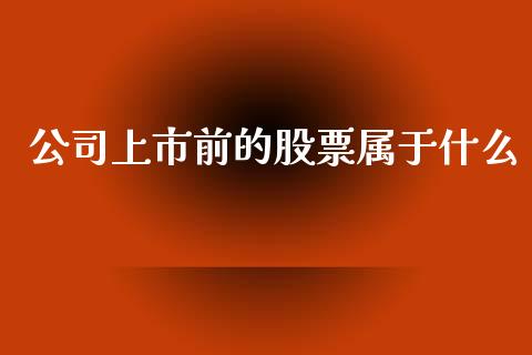公司上市前的股票属于什么_https://www.ltsssb.com_新股数据_第1张