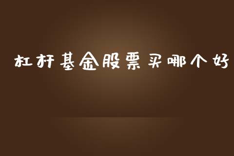 杠杆基金股票买哪个好_https://www.ltsssb.com_基金频道_第1张