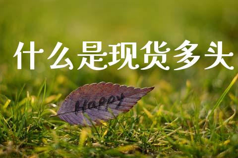 什么是现货多头_https://www.ltsssb.com_期货行情_第1张