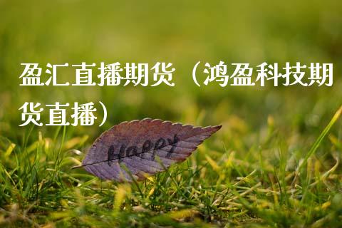 盈汇直播期货（鸿盈科技期货直播）_https://www.ltsssb.com_期货在线_第1张