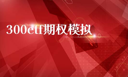 300etf期权模拟_https://www.ltsssb.com_股市分析_第1张