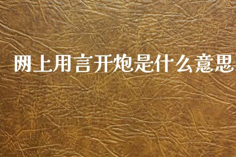 网上用言开炮是什么意思_https://www.ltsssb.com_期货在线_第1张