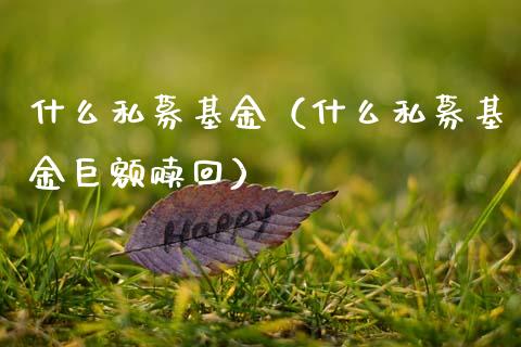 什么私募基金（什么私募基金巨额赎回）_https://www.ltsssb.com_国际财经_第1张