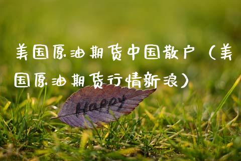美国原油期货中国散户（美国原油期货行情新浪）_https://www.ltsssb.com_期货密码_第1张