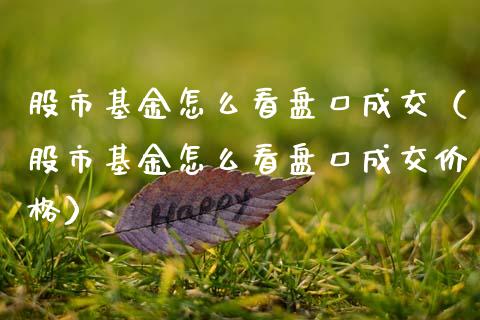 股市基金怎么看盘口成交（股市基金怎么看盘口成交价格）_https://www.ltsssb.com_基金频道_第1张