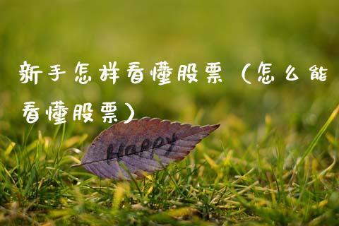 新手怎样看懂股票（怎么能看懂股票）_https://www.ltsssb.com_股市分析_第1张