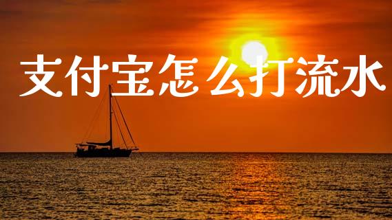 支付宝怎么打流水_https://www.ltsssb.com_国际财经_第1张