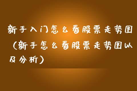 新手入门怎么看股票走势图（新手怎么看股票走势图以及分析）_https://www.ltsssb.com_股票理论_第1张