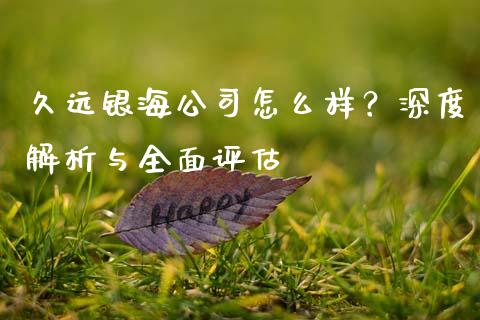 久远银海公司怎么样？深度解析与全面评估_https://www.ltsssb.com_基金频道_第1张