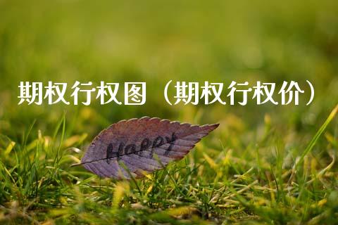 期权行权图（期权行权价）_https://www.ltsssb.com_期货密码_第1张
