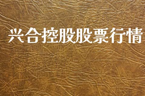 兴合控股股票行情_https://www.ltsssb.com_股市分析_第1张