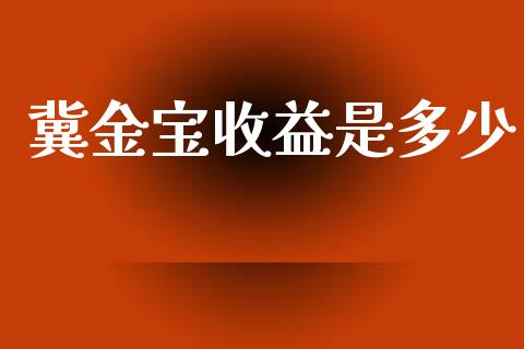 冀金宝收益是多少_https://www.ltsssb.com_新股数据_第1张