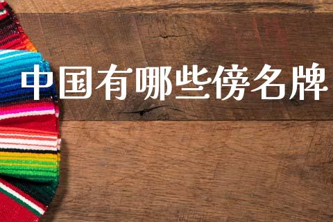 中国有哪些傍名牌_https://www.ltsssb.com_新股数据_第1张
