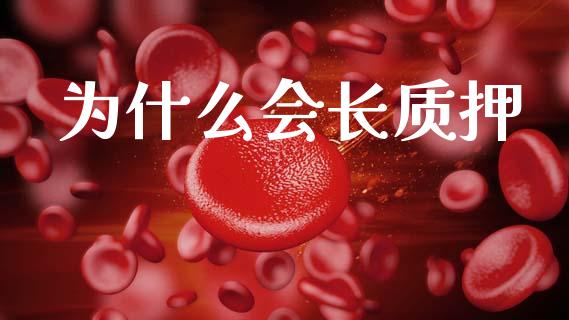 为什么会长质押_https://www.ltsssb.com_期货在线_第1张