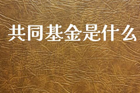 共同基金是什么_https://www.ltsssb.com_新股数据_第1张
