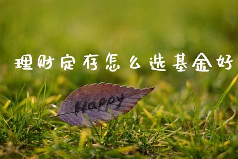 理财定存怎么选基金好_https://www.ltsssb.com_基金频道_第1张