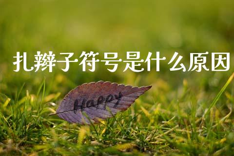 扎辫子符号是什么原因_https://www.ltsssb.com_新股数据_第1张