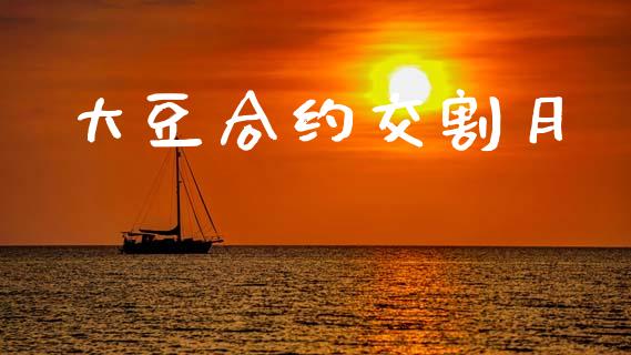 大豆合约交割月_https://www.ltsssb.com_国际财经_第1张