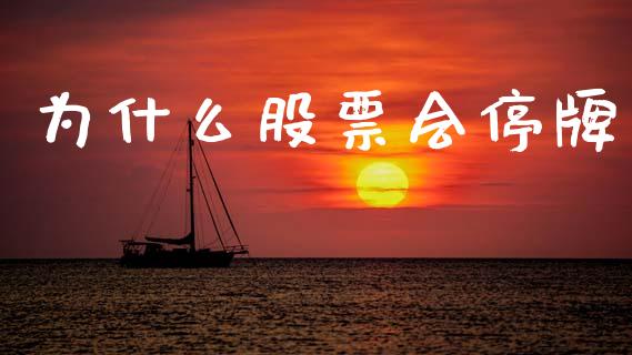 为什么股票会停牌_https://www.ltsssb.com_国际财经_第1张