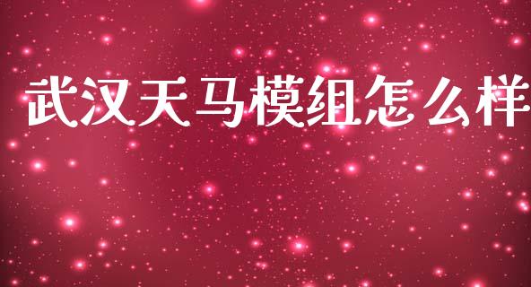 武汉天马模组怎么样_https://www.ltsssb.com_期货行情_第1张