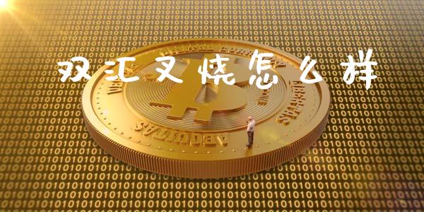 双汇叉烧怎么样_https://www.ltsssb.com_国际财经_第1张