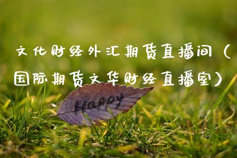 文化财经外汇期货直播间（国际期货文华财经直播室）_https://www.ltsssb.com_期货在线_第1张