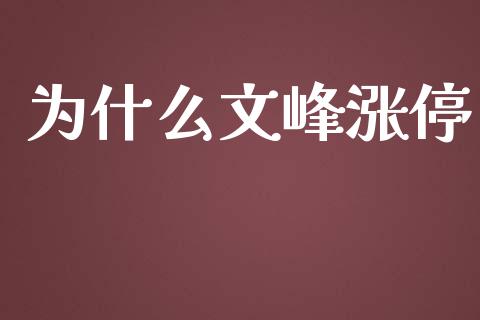 为什么文峰涨停_https://www.ltsssb.com_新股数据_第1张
