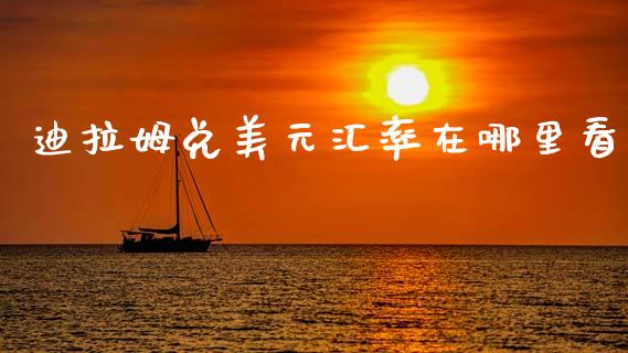 迪拉姆兑美元汇率在哪里看_https://www.ltsssb.com_股市分析_第1张