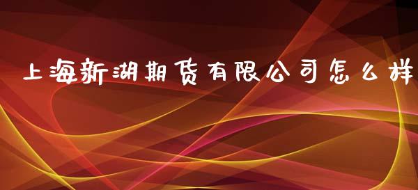上海新湖期货有限公司怎么样_https://www.ltsssb.com_基金频道_第1张