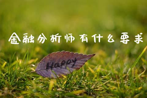 金融分析师有什么要求_https://www.ltsssb.com_国际财经_第1张