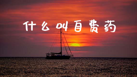 什么叫自费药_https://www.ltsssb.com_基金频道_第1张