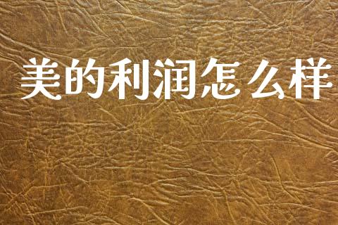 美的利润怎么样_https://www.ltsssb.com_国际财经_第1张