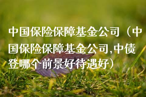 中国保险保障基金公司（中国保险保障基金公司,中债登哪个前景好待遇好）_https://www.ltsssb.com_基金频道_第1张