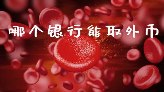 哪个银行能取外币_https://www.ltsssb.com_股市分析_第1张